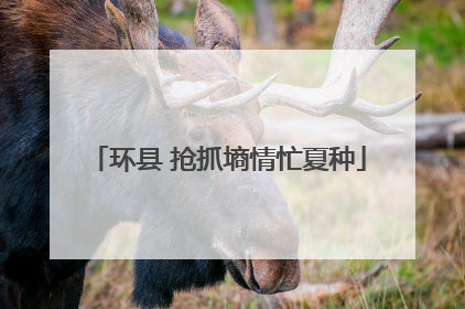 环县 抢抓墒情忙夏种