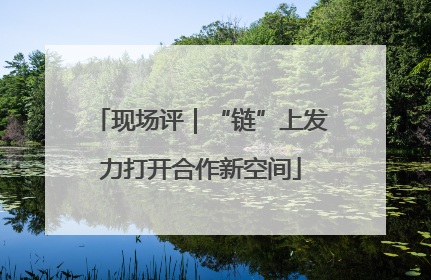 现场评｜“链”上发力打开合作新空间
