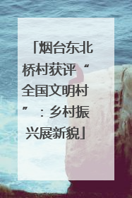 烟台东北桥村获评“全国文明村”：乡村振兴展新貌