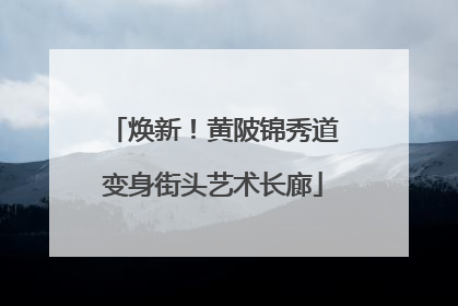 焕新！黄陂锦秀道变身街头艺术长廊