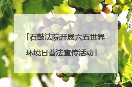石鼓法院开展六五世界环境日普法宣传活动