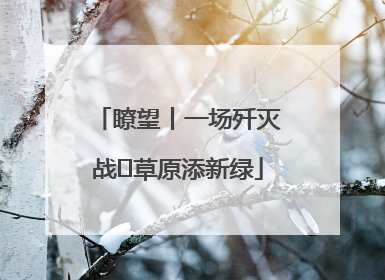 瞭望丨一场歼灭战 草原添新绿