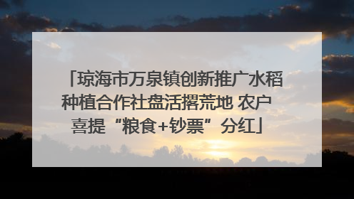 琼海市万泉镇创新推广水稻种植合作社盘活撂荒地 农户喜提“粮食+钞票”分红
