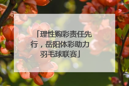 理性购彩责任先行，岳阳体彩助力羽毛球联赛