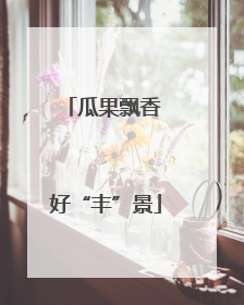 瓜果飘香 好“丰”景
