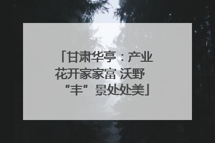 甘肃华亭：产业花开家家富 沃野“丰”景处处美