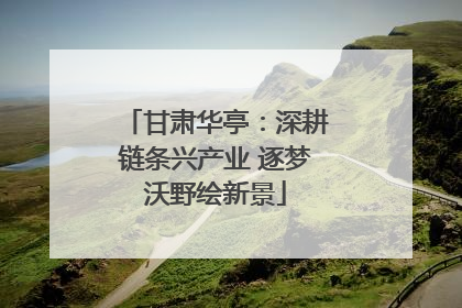 甘肃华亭：深耕链条兴产业 逐梦沃野绘新景