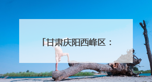 甘肃庆阳西峰区：赏花+采摘 解锁乡村旅游新体验