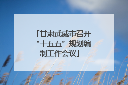 甘肃武威市召开“十五五”规划编制工作会议