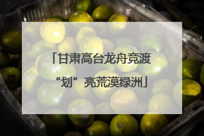 甘肃高台龙舟竞渡“划”亮荒漠绿洲