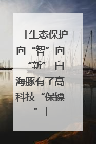 生态保护向“智”向“新” 白海豚有了高科技“保镖”