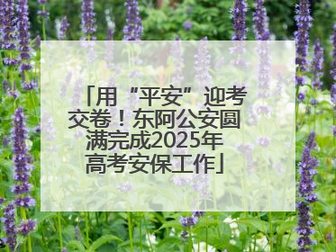 用“平安”迎考交卷！东阿公安圆满完成2025年高考安保工作