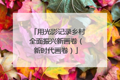 用光影记录乡村全面振兴新画卷（新时代画卷）