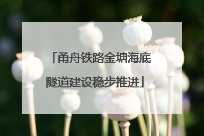甬舟铁路金塘海底隧道建设稳步推进