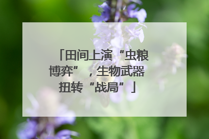 田间上演“虫粮博弈”，生物武器扭转“战局”