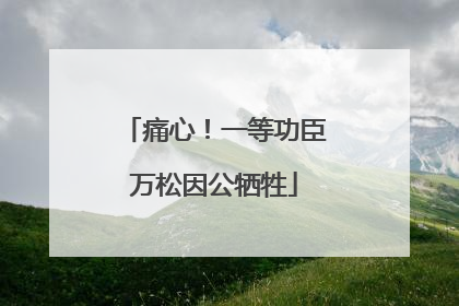 痛心！一等功臣万松因公牺牲