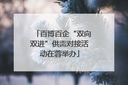 百博百企“双向双进”供需对接活动在蓉举办