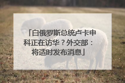 白俄罗斯总统卢卡申科正在访华？外交部：将适时发布消息