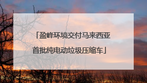 盈峰环境交付马来西亚首批纯电动垃圾压缩车