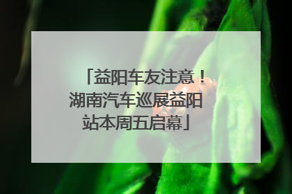 益阳车友注意！湖南汽车巡展益阳站本周五启幕