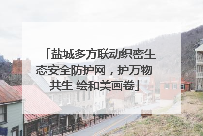 盐城多方联动织密生态安全防护网，护万物共生 绘和美画卷