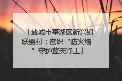 盐城市亭湖区新兴镇联盟村：密织“防火墙”守护蓝天净土