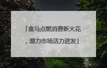 盒马点燃消费新火花，潜力市场活力迸发