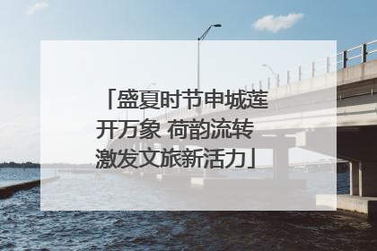 盛夏时节申城莲开万象 荷韵流转激发文旅新活力