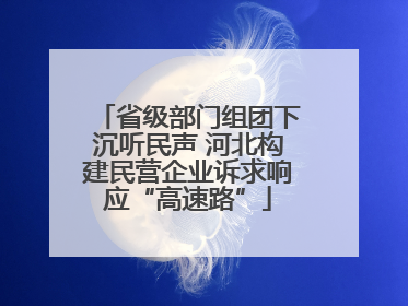 省级部门组团下沉听民声 河北构建民营企业诉求响应“高速路”