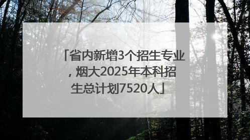 省内新增3个招生专业，烟大2025年本科招生总计划7520人