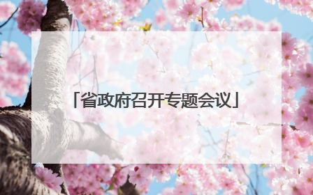 省政府召开专题会议