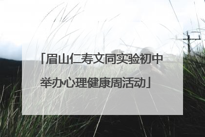 眉山仁寿文同实验初中举办心理健康周活动