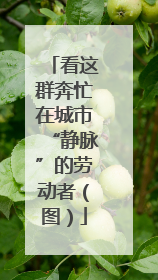 看这群奔忙在城市“静脉”的劳动者（图）
