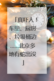 真吓人！车里、厨房、垃圾桶边……北京多地有蛇出没