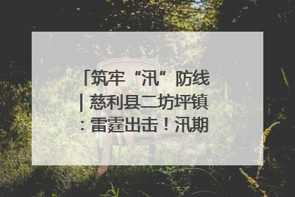 筑牢“汛”防线｜慈利县二坊坪镇：雷霆出击！汛期捕鱼被紧急叫停