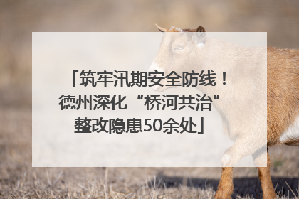 筑牢汛期安全防线！德州深化“桥河共治”整改隐患50余处