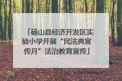 砀山县经济开发区实验小学开展“民法典宣传月”法治教育宣传