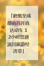 磨憨至成都南首开直达动车 12小时贯通滇川旅游经济带