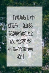 禹城市中街道：油葵花海绚烂绽放 绘就乡村振兴新画卷