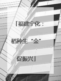 福建宁化：稻种生“金”促振兴
