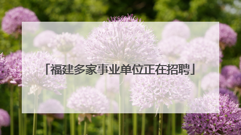 福建多家事业单位正在招聘