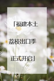 福建本土荔枝出口季正式开启