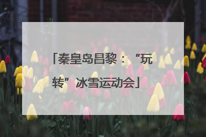 秦皇岛昌黎：“玩转”冰雪运动会