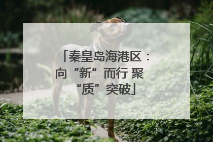 秦皇岛海港区：向“新”而行 聚“质”突破