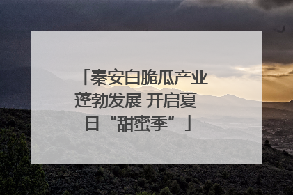 秦安白脆瓜产业蓬勃发展 开启夏日“甜蜜季”