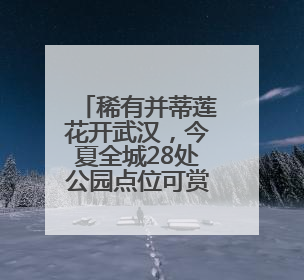 稀有并蒂莲花开武汉，今夏全城28处公园点位可赏荷