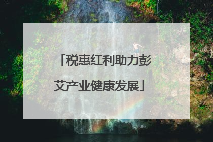 税惠红利助力彭艾产业健康发展