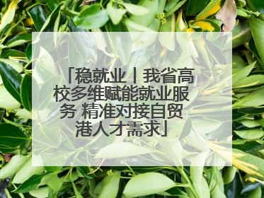 稳就业丨我省高校多维赋能就业服务 精准对接自贸港人才需求