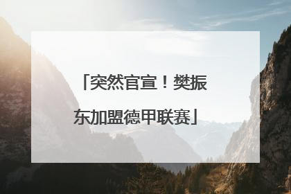 突然官宣！樊振东加盟德甲联赛