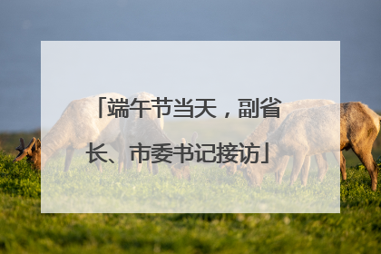 端午节当天，副省长、市委书记接访